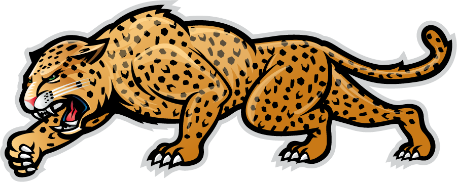 IUPUI Jaguars 2007-2017 Secondary Logo iron on transfers for clothing